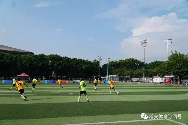 杨鸣：中国篮球的门面目前还得看女篮